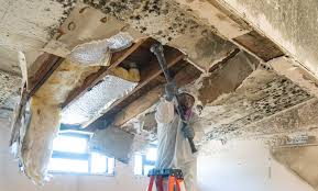 Best Attic Mold Removal  in Hayden, AL